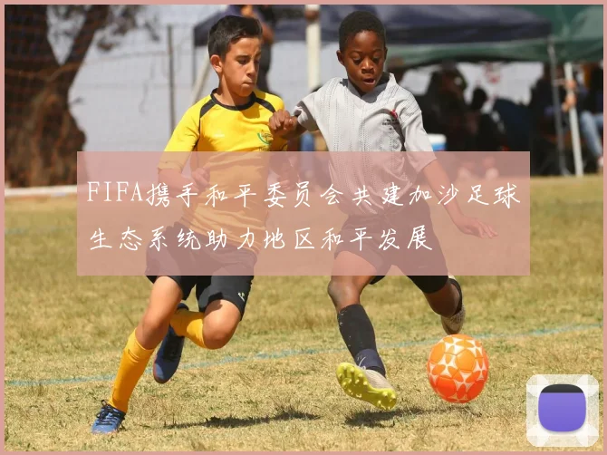 FIFA携手和平委员会共建加沙足球生态系统助力地区和平发展
